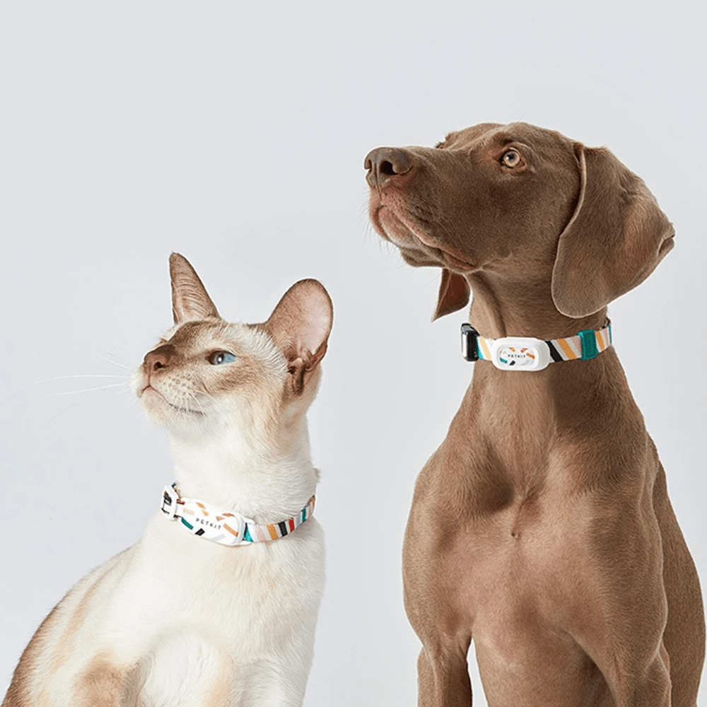 PetPulse Pet Fitness Tracker